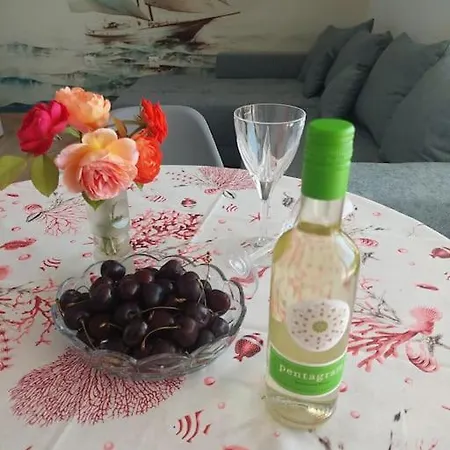 Paradise червенка